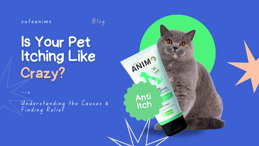 Is Your Pet Itching Like Crazy? Understanding the Causes & Finding Relief